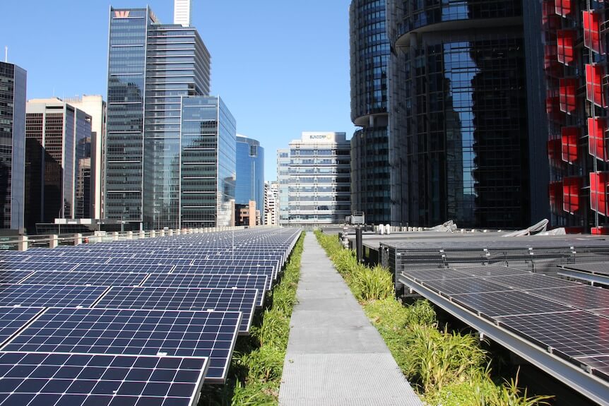 Zefektívňujú zelené strechy produkciu solárnych panelov ? Zelená strecha Sydney