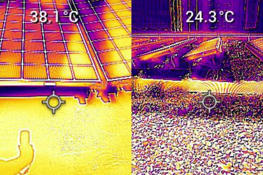 Zefektívňujú zelené strechy produkciu solárnych panelov ? Zelená strecha Sydney